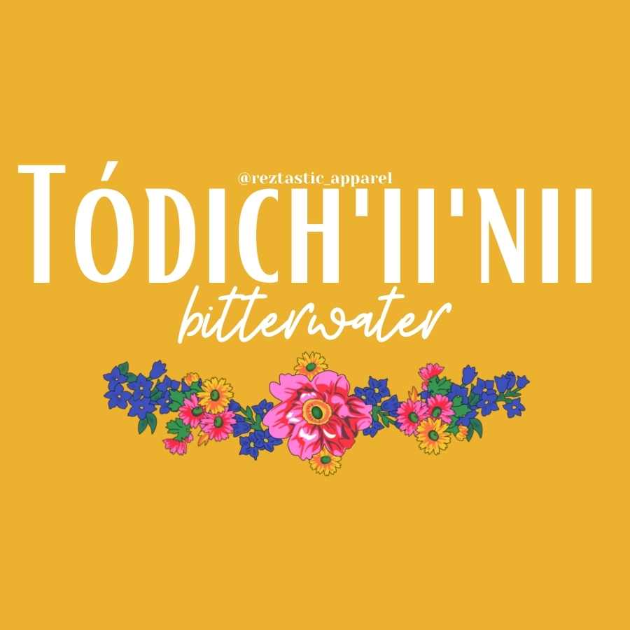 Tódich'ii'nii - Bitter Water Clan