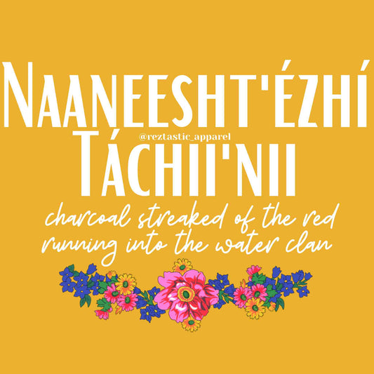 Naaneesht'ézhí Táchii'nii - Charcoal Streaked of the Red Running into the Water Clan