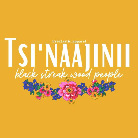 Tsi'naajinii - Black Streak Wood People Clan